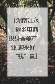 湖南江永：返乡电商投身香姜产业 迎来好“钱”景