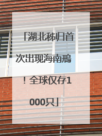 湖北秭归首次出现海南鳽！全球仅存1000只