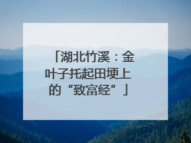 湖北竹溪：金叶子托起田埂上的“致富经”