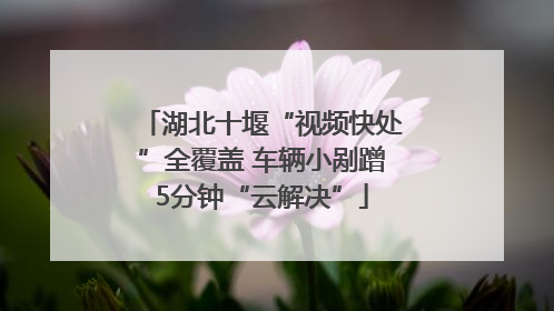 湖北十堰“视频快处”全覆盖 车辆小剐蹭5分钟“云解决”