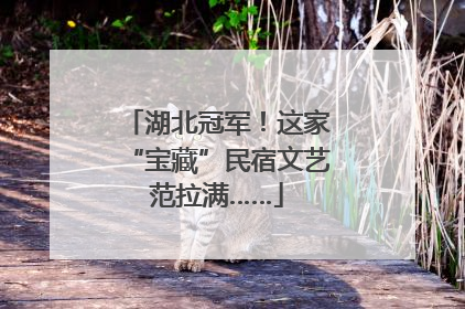 湖北冠军！这家“宝藏”民宿文艺范拉满……