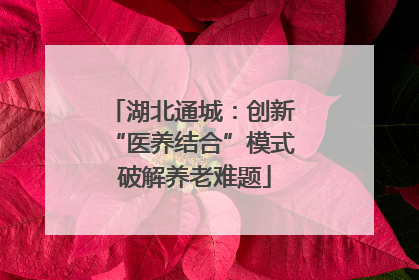 湖北通城：创新 “医养结合”模式 破解养老难题