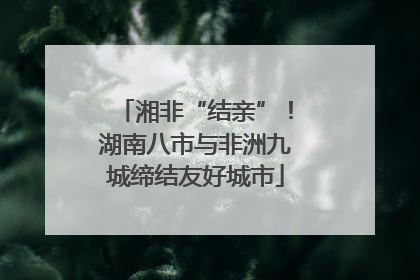 湘非“结亲”！湖南八市与非洲九城缔结友好城市