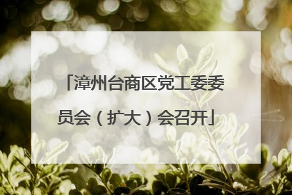 漳州台商区党工委委员会（扩大）会召开