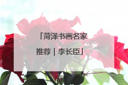 菏泽书画名家推荐｜李长臣