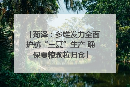 菏泽：多维发力全面护航“三夏”生产 确保夏粮颗粒归仓