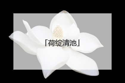 荷绽清池