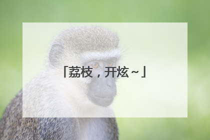 荔枝，开炫～