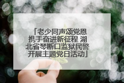 老少同声颂党恩 携手奋进新征程 湖北省琴断口监狱民警开展主题党日活动