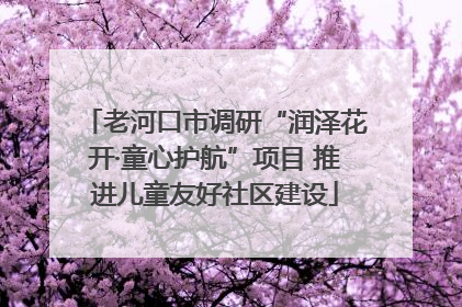 老河口市调研“润泽花开·童心护航”项目 推进儿童友好社区建设