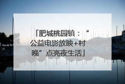 肥城桃园镇：“公益电影放映+村晚”点亮夜生活