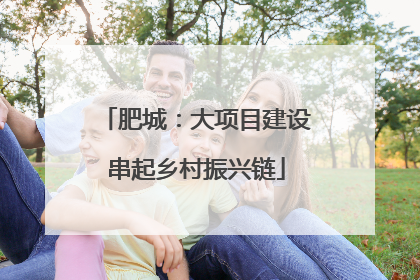 肥城：大项目建设串起乡村振兴链