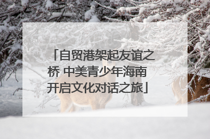 自贸港架起友谊之桥 中美青少年海南开启文化对话之旅