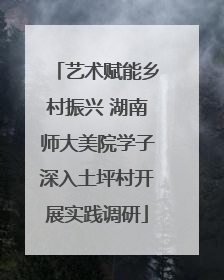 艺术赋能乡村振兴 湖南师大美院学子深入土坪村开展实践调研