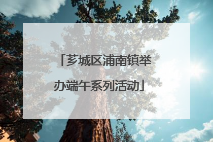 芗城区浦南镇举办端午系列活动