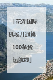 花湖国际机场开通第100条货运航线