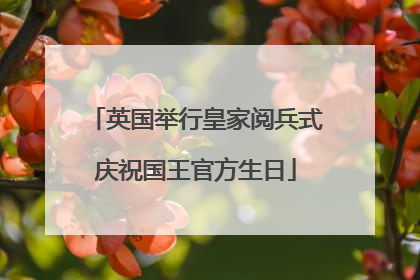 英国举行皇家阅兵式庆祝国王官方生日