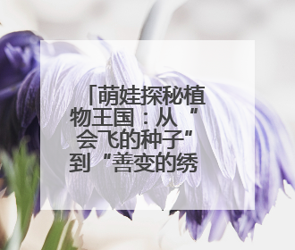萌娃探秘植物王国：从“会飞的种子”到“善变的绣球花”