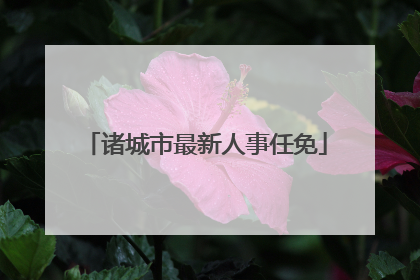 诸城市最新人事任免