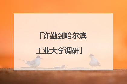 许勤到哈尔滨工业大学调研