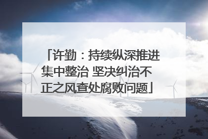 许勤：持续纵深推进集中整治 坚决纠治不正之风查处腐败问题