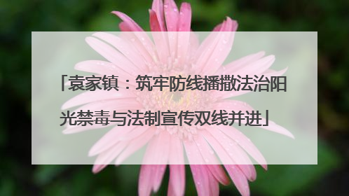 袁家镇：筑牢防线播撒法治阳光禁毒与法制宣传双线并进