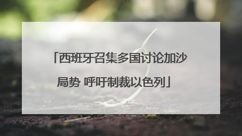 西班牙召集多国讨论加沙局势 呼吁制裁以色列