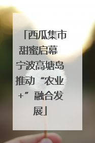 西瓜集市甜蜜启幕 宁波高塘岛推动“农业+”融合发展