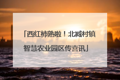 西红柿熟啦！北臧村镇智慧农业园区传喜讯