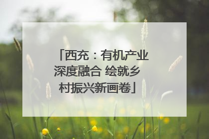 西充：有机产业深度融合 绘就乡村振兴新画卷