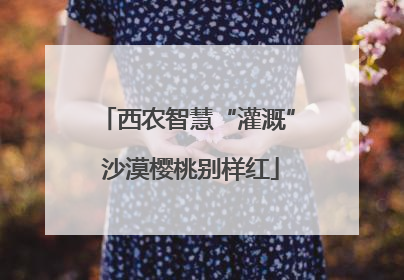 西农智慧“灌溉” 沙漠樱桃别样红