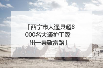 西宁市大通县超8000名大通护工蹚出一条致富路