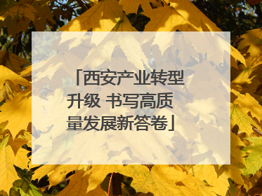 西安产业转型升级 书写高质量发展新答卷