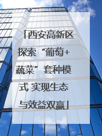 西安高新区探索“葡萄+蔬菜”套种模式 实现生态与效益双赢
