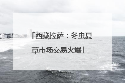 西藏拉萨：冬虫夏草市场交易火爆