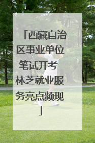 西藏自治区事业单位笔试开考 林芝就业服务亮点频现