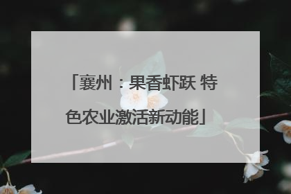 襄州：果香虾跃 特色农业激活新动能
