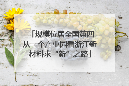 规模位居全国第四 从一个产业园看浙江新材料求“新”之路