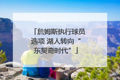 詹姆斯执行球员选项 湖人转向“东契奇时代”