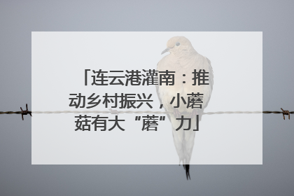 连云港灌南：推动乡村振兴，小蘑菇有大“蘑”力