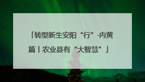 转型新生安阳“行”·内黄篇丨农业县有“大智慧”