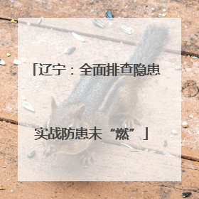 辽宁：全面排查隐患 实战防患未“燃”