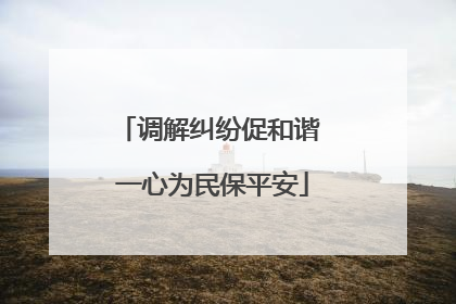 调解纠纷促和谐 一心为民保平安