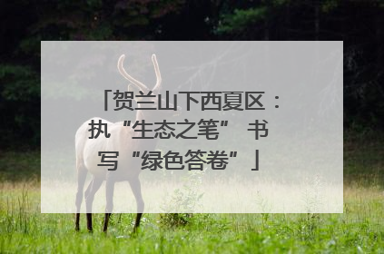 贺兰山下西夏区：执“生态之笔” 书写“绿色答卷”