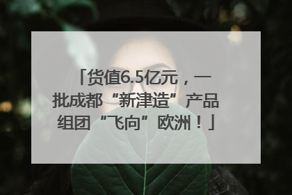 货值6.5亿元，一批成都“新津造”产品组团“飞向”欧洲！