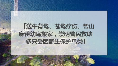 送牛背鹭、苍鹭疗伤、帮山麻雀幼鸟搬家，崇明警民救助多只受困野生保护鸟类