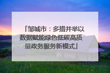 邹城市：多措并举以数据赋能绿色低碳高质量政务服务新模式