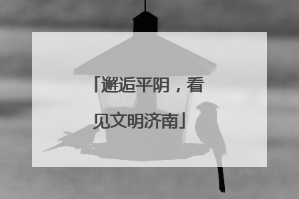 邂逅平阴，看见文明济南