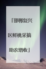 邯郸复兴区鲜桃采摘助农增收