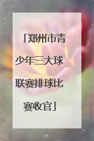 郑州市青少年三大球联赛排球比赛收官